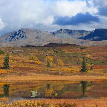 Caribou Lodge Alaska Талкитна Екстериор снимка