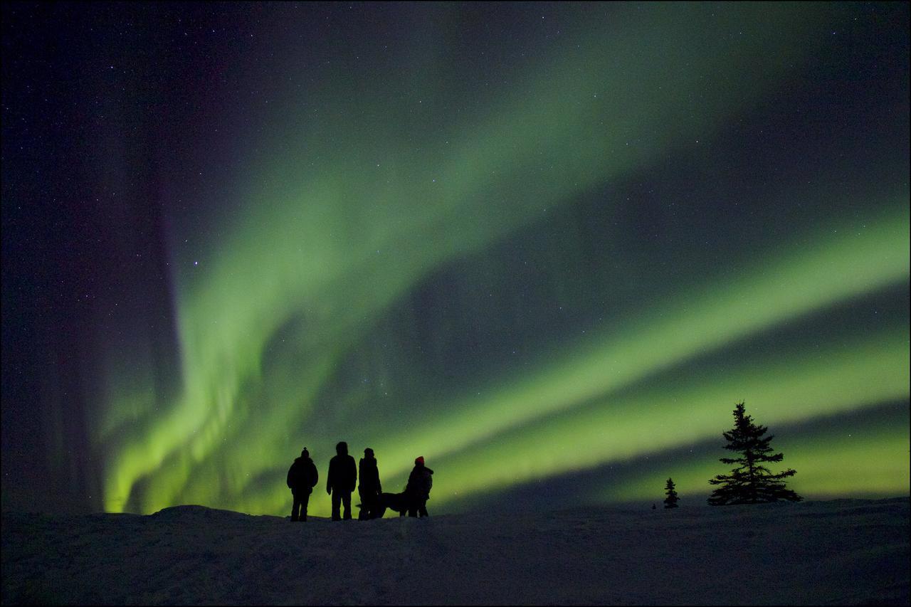 Caribou Lodge Alaska Талкитна Екстериор снимка