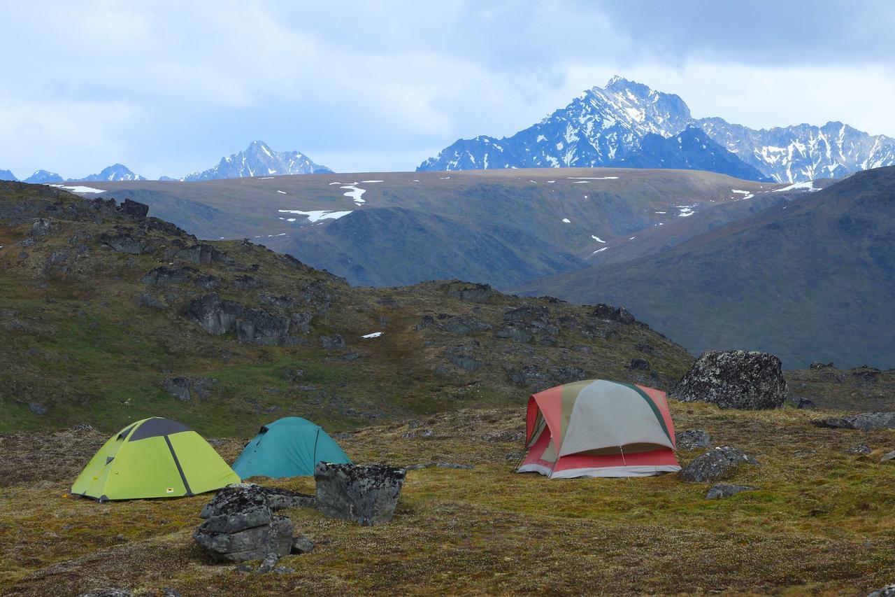 Caribou Lodge Alaska Талкитна Екстериор снимка
