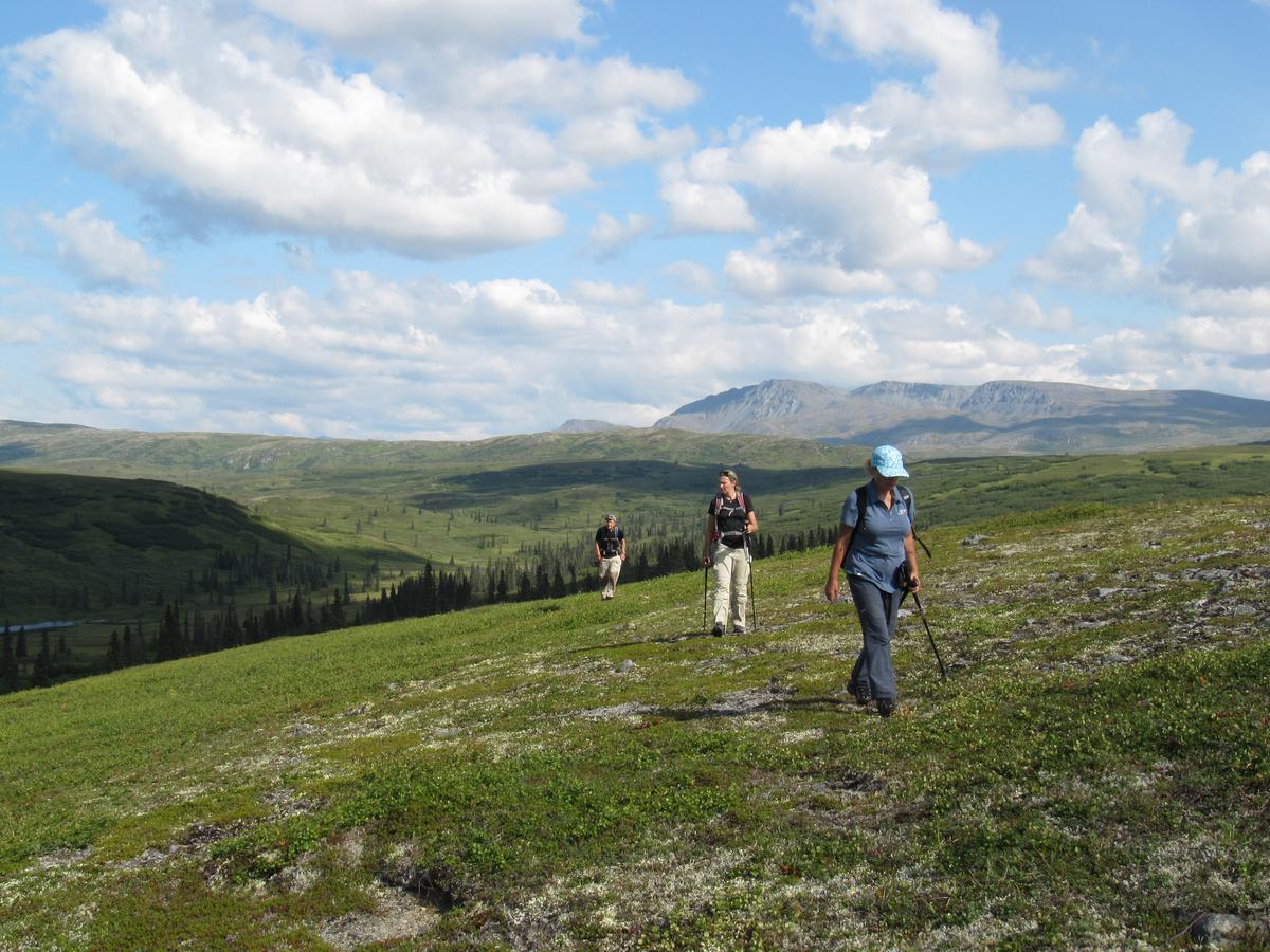 Caribou Lodge Alaska Талкитна Екстериор снимка