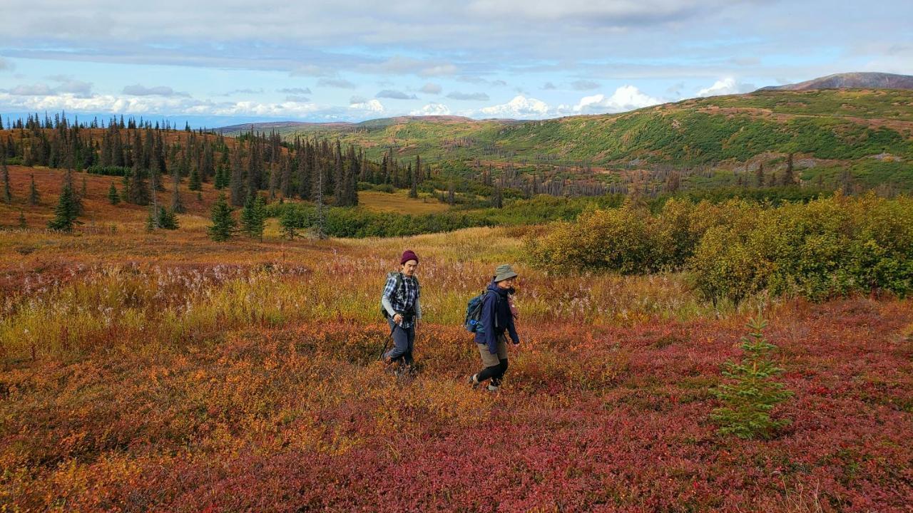 Caribou Lodge Alaska Талкитна Екстериор снимка