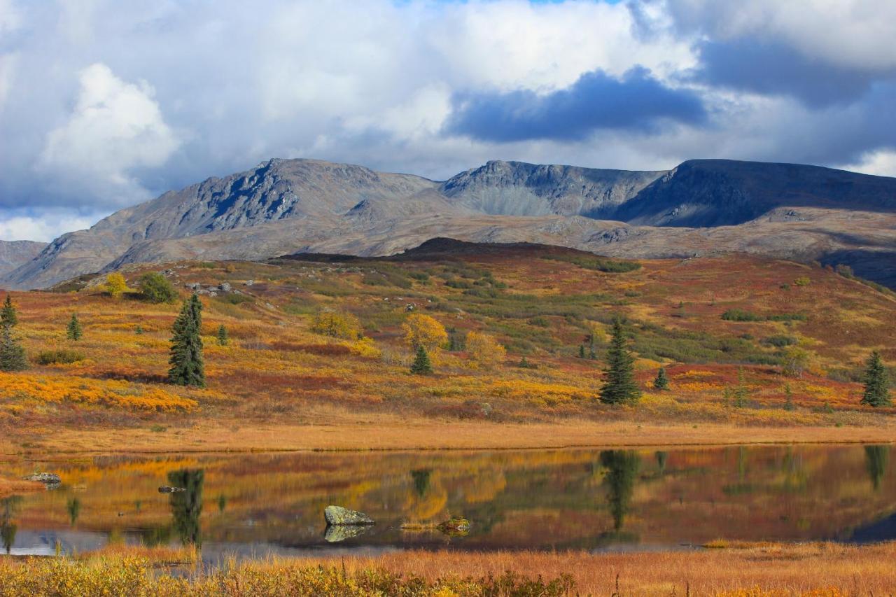 Caribou Lodge Alaska Талкитна Екстериор снимка