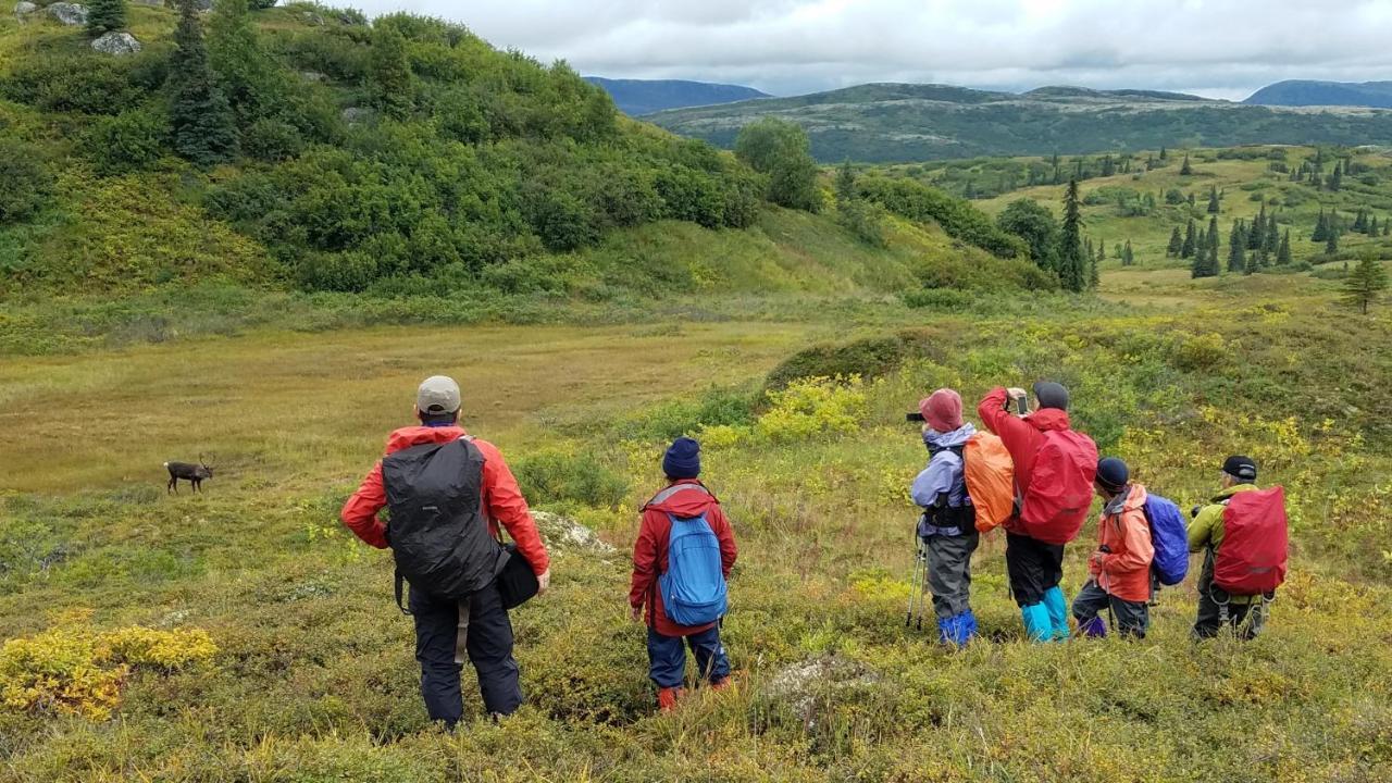 Caribou Lodge Alaska Талкитна Екстериор снимка
