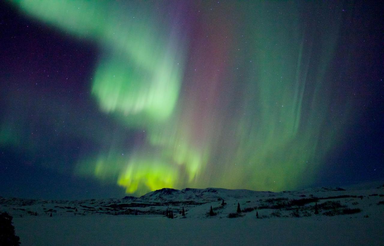 Caribou Lodge Alaska Талкитна Екстериор снимка