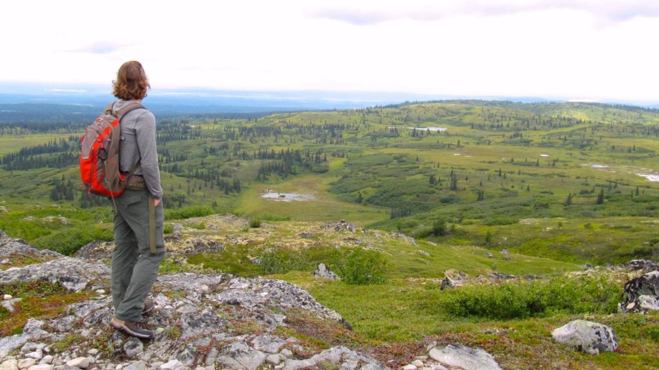 Caribou Lodge Alaska Талкитна Екстериор снимка