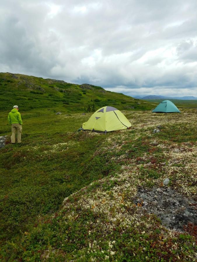 Caribou Lodge Alaska Талкитна Екстериор снимка