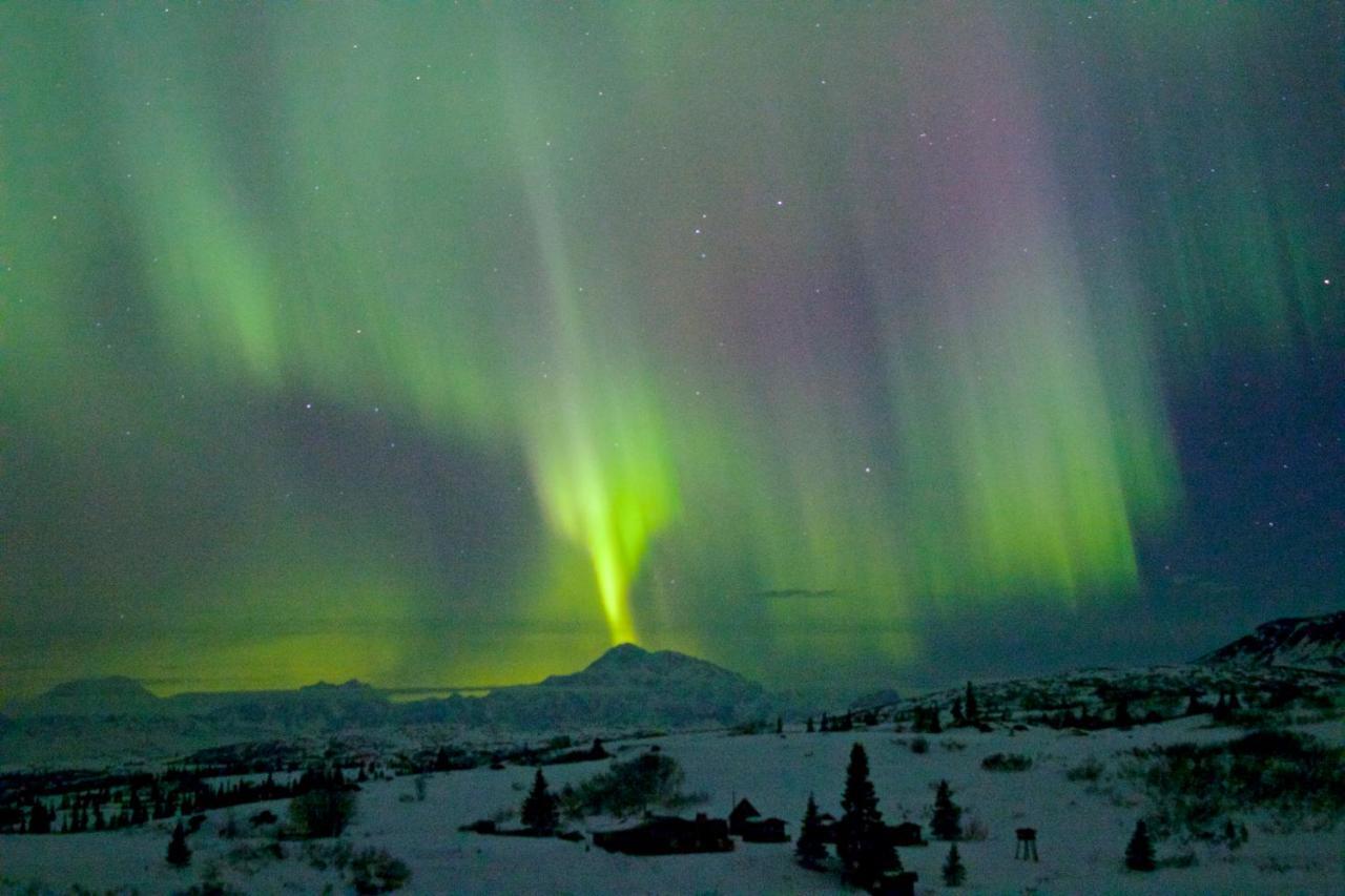 Caribou Lodge Alaska Талкитна Екстериор снимка