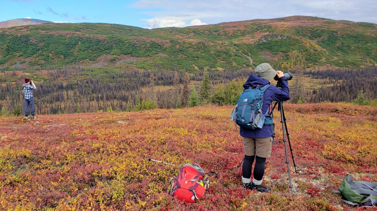 Caribou Lodge Alaska Талкитна Екстериор снимка