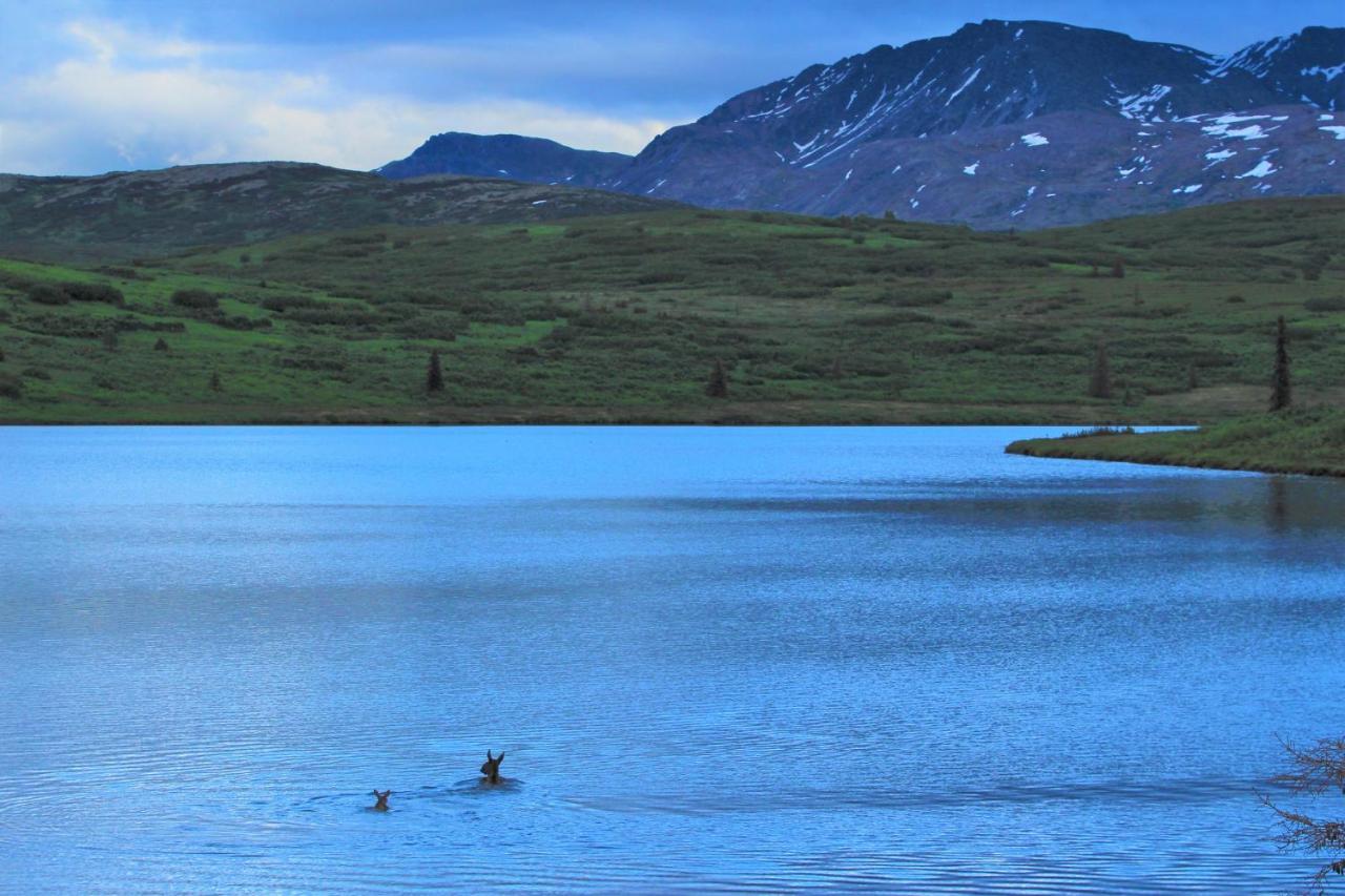 Caribou Lodge Alaska Талкитна Екстериор снимка