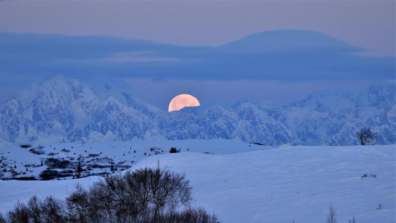 Caribou Lodge Alaska Талкитна Екстериор снимка