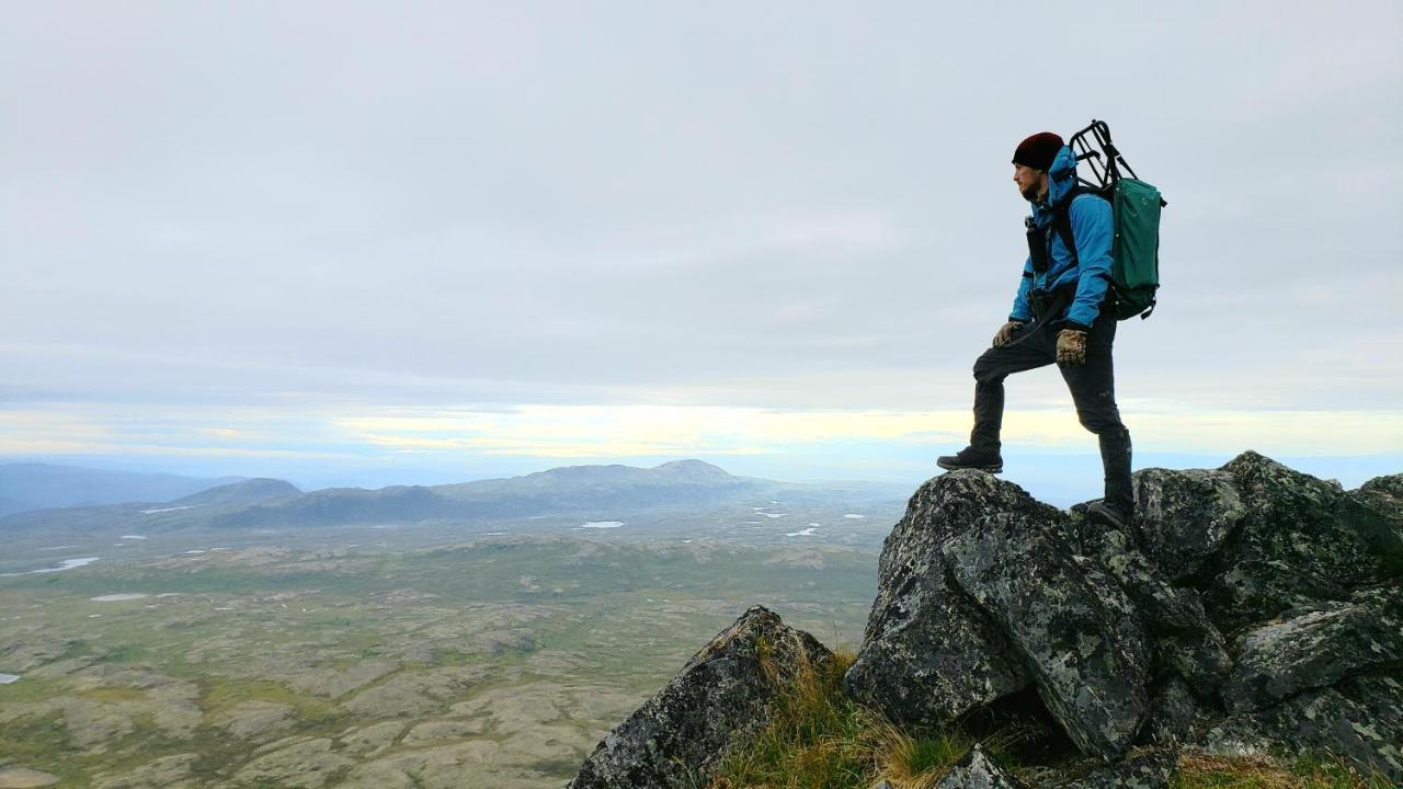 Caribou Lodge Alaska Талкитна Екстериор снимка