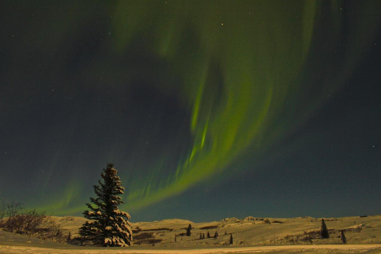 Caribou Lodge Alaska Талкитна Екстериор снимка