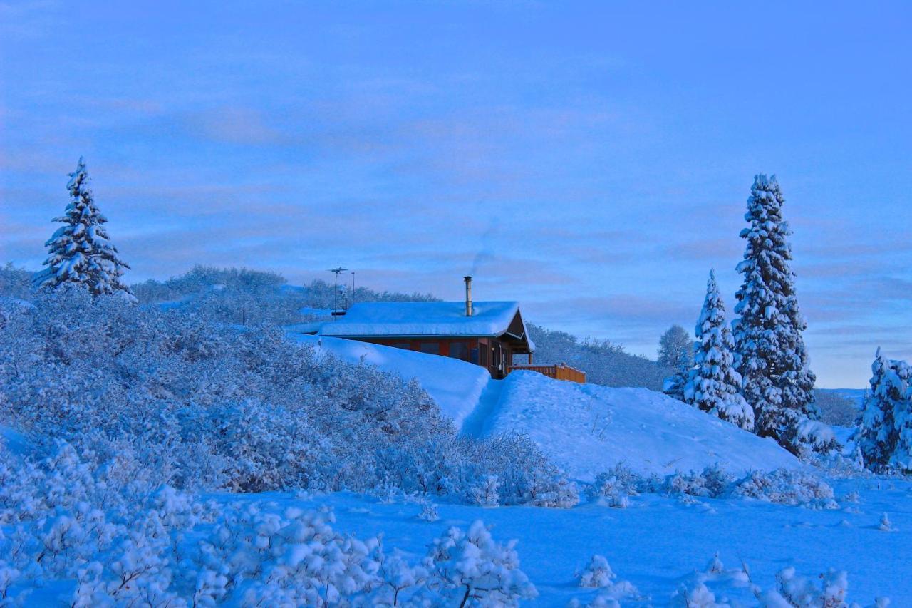 Caribou Lodge Alaska Талкитна Екстериор снимка